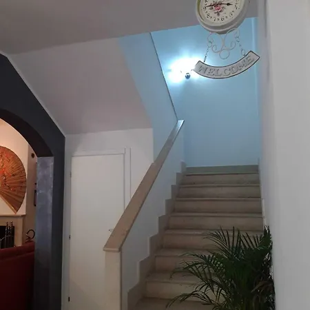 Sofia Bed & Breakfast