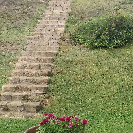 Sofia Oda ve Kahvaltı Fiumicino